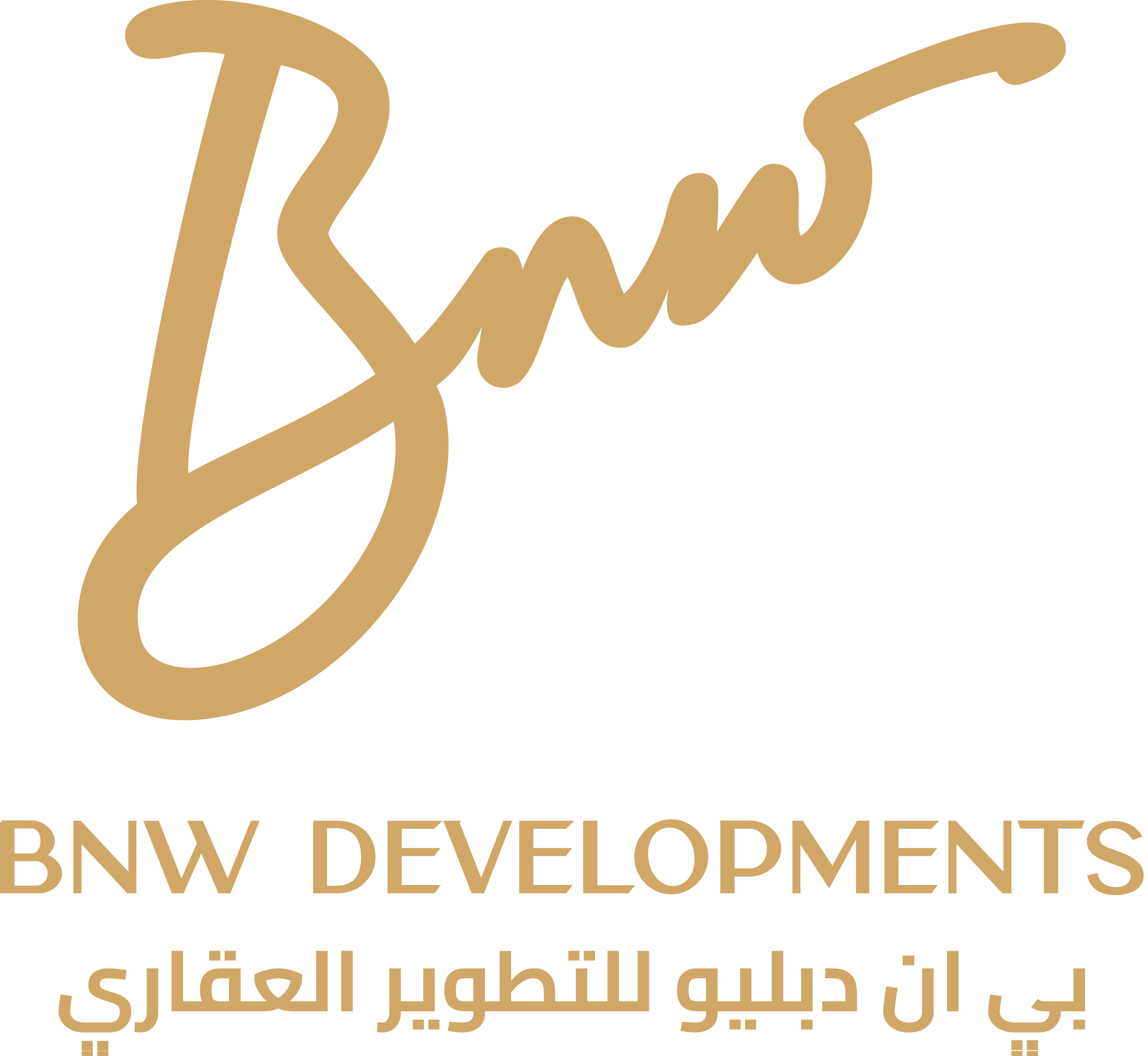 BNW Developments logo
